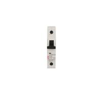 Interruttore sovracorrente 1P B 6A 10kA AC ASTI-ETIMAT 002121712