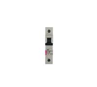 Interruttore sovracorrente 1P C 20A 10kA AC ASTI-ETIMAT 10