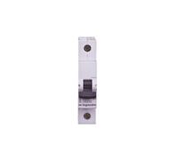 Interruttore sovracorrente 1P C 25A 6kA AC S301 SRX3 419204