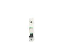 Interruttore sovracorrente 1P C 2A 10kA DC C60H-DC Acti9 A9N61502