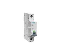 Interruttore sovracorrente 1P C 32A 6kA AC SENTRON 5SL6132-7