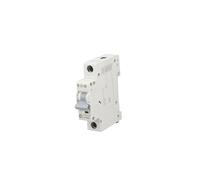 Interruttore sovracorrente 1P C 40A 6kA AC xPole Home 194835