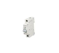 Interruttore sovracorrente 1P C 63A 6kA AC xPole Home 194837