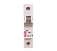 Interruttore sovracorrente 1P C 6A 6kA AC ASTI-ETIMAT 6 002141512