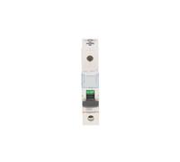 Interruttore sovracorrente 1P D 40A 6kA AC S301 S300 TX3 403725
