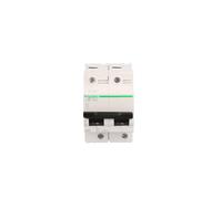 Interruttore sovracorrente 2P C 80A 10kA AC C120N Acti9 A9N18361