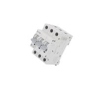 Interruttore sovracorrente HN-C25/3 230/400VAC lNomin: 25A Polo: 3 DIN Caratt...