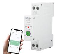 Interruttore su Guida DIN Interruttore Smart WIFI Telecomando per Telefono Cellulare Senza Fili 1P 63A Salvavita Con Riarmo Automatico con Telecomando per Casa Intelligente