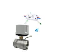 Interruttore temporizzato in acciaio inossidabile con valvola a sfera motorizzata impermeabile intelligente WiFi Supporto for controllo Smart Life(1-1/4")