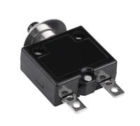 Interruttore Termico con Pulsante di Ripristino, 10A, AC 125-250V, Interruttore Automatico