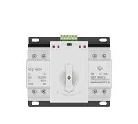 Interruttore Trasferimento Automatico Doppia Potenza 2 Poli 4 Poli 63A CB AC230V