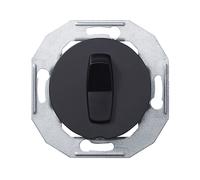 INTERRUTTORE UNIVERSALE APC Interruttore universale Renova, 250 V, Argento, Nero