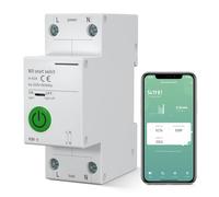 Interruttore WiFi 63A, 2P Interruttore Smart 230V - 50/60Hz per Guida DIN, Tuya APP Telecomando, Interruttore temporizzato, Compatibile con Alexa e Google Home