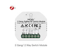 (Interruttore ZigBee a 2 canali) Modulo interruttore Wi-Fi ZigBee intelligente Moes con dimmer, interruttore per