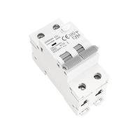 Interruttori ad aria GYR9NM 230V 1P + N Interruttore automatico corrente residua con guida di protezione da dispersione di corrente eccessiva e breve 40A 1 pz (Color : 2p 10a, Size : 30mA)