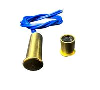 Interruttori Magnetici Della Porta Del Filo Per I Sistemi Allarme Sicurezza Ufficio Incasso Interruttori Della Porta Del Filo