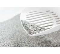 Intersand Lettiera per Gatti Agglomerato Odourlock 6 KG