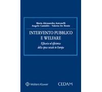 Intervento pubblico e welfare. Efficacia ed efficienza della spesa sociale in Europa