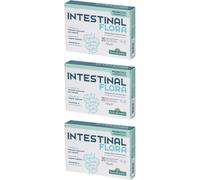 Intestinal Flora 20 Capsule 3x11,2 g Capsule