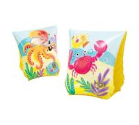 Braccioli fun fish cm 23x15 i.36