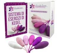 Intimate Rose - Pesi per esercizi Kegel - Esercizi per controllo della vescica e pavimento pelvico - Set di 6 sfere Kegel in silicone alta qualità con kit di allenamento per donne con incontinenza