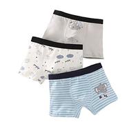Intimo Boxer Per Ragazzi, Tessuto Moderno In Cotone, Intimo Boxer, Intimo Per Ragazzi, Pantaloni Per La Privacy, Taglia 3-16 Anni (Elefante,4XL)