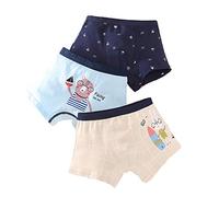 Intimo Boxer Per Ragazzi, Tessuto Moderno In Cotone, Intimo Boxer, Intimo Per Ragazzi, Pantaloni Per La Privacy, Taglia 3-16 Anni (Cavalca il vento,4XL)