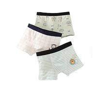 Intimo Boxer Per Ragazzi, Tessuto Moderno In Cotone, Intimo Boxer, Intimo Per Ragazzi, Pantaloni Per La Privacy, Taglia 3-16 Anni (Leone,4XL)