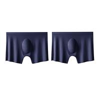 Intimo Da Uomo In Cotone Traspirante 2Pcs Mutandine da uomo Mens Ice Silk Seamless Biancheria intima sexy Ultra-sottile Dry Boxer traspirante Mutande maschili Boxershorts(2PCS Royal Blue,75-90kg)