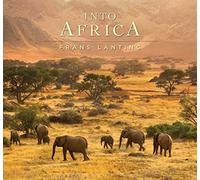 Into Africa [Lingua Inglese]