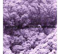 Into The Great Wide Yonder - Trentemoller (Vinile)