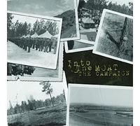 Into the Moat - Campaign