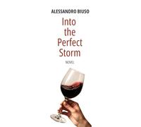 INTO THE PERFECT STORM: A Novel of Love, Illusion, and Discovery