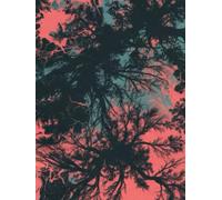 Into the Quiet Hours: 150-Page Ruled Writing Journal with Premium Matte Finish