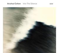 Into The Silence