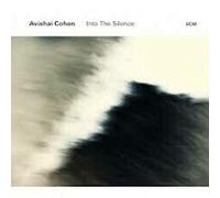 INTO THE SILENCE - COHEN,AVISH