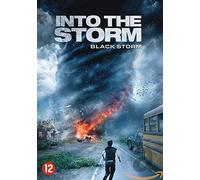 Into the storm (DVD)