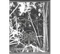 into the woods of belial (2 mc)