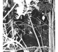 into the woods of belial (2 cd)