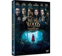 Into the woods : promenons-nous dans les bois (DVD)