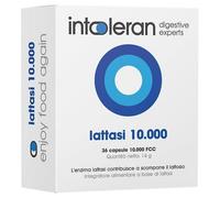 Lattasi 10.000 Intoleran 36 Capsule