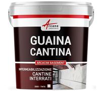 Intonaco idrorepellente per interni: cantine, seminterrati, garage - ARCACIM BASEMENT - 25 kg Bianco - ARCANE INDUSTRIES
