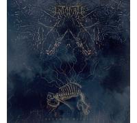 Intonate Severed WIthin Random Mixed Color (Vinyl LP)