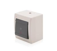 Intratec - Interruttore a pressione da parete con indicatore di controllo, 10 A, 250 V, IP44, per esterni protetti, colore grigio RAL 7035, 1 pezzo