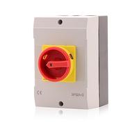 Intratec Interruttore principale con custodia 32A, 3 poli - Sezionatore a parete IP65 per uso interno ed esterno, soluzione robusta (175 x 115 x 135 mm)