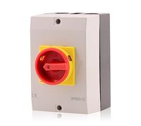 Intratec Interruttore principale con custodia 50A, 3 poli - Sezionatore a parete IP65, bloccabile, per interni ed esterni, 175 x 115 x 135 mm
