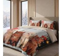 INTRECCI Copripiumino in Cotone Sogni d’Oro, Parure Copri Piumino con Federe Set Sacco Piumone Disponibile in più Fantasie (Set Sacco Matrimoniale + 2 Federe, Dis. 69 Quattro Gatti)
