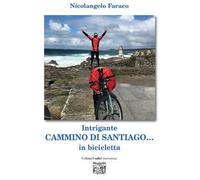 Intrigante cammino di Santiago... in bicicletta