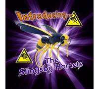 Introducing The Fantastic Sounds Of...