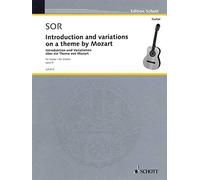 Introduction and Variations on a Theme of Mozart, Op. 9: Guitar Solo